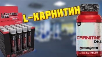 L-карнитин – действие, применение, дозировка и способ применения