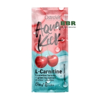 Aqua Kick L-Carnitine+Green Tea Extract 10g, OstroVit