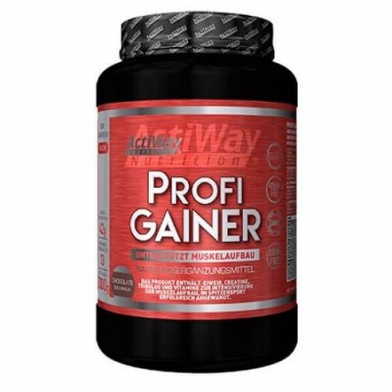 Profi Gainer 2kg, ActiWay фото