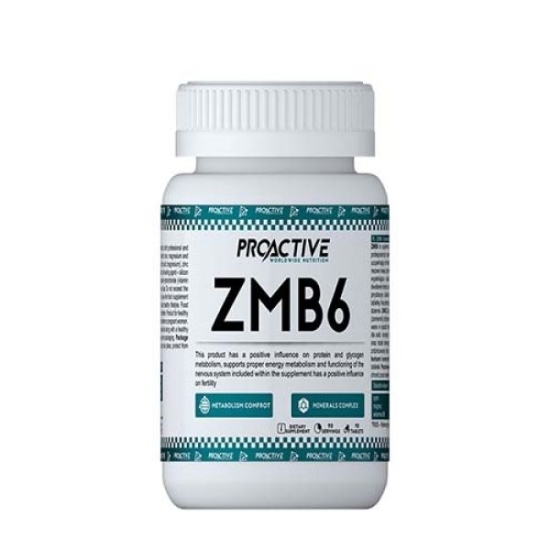 ZMB6 90tab, ProActive фото