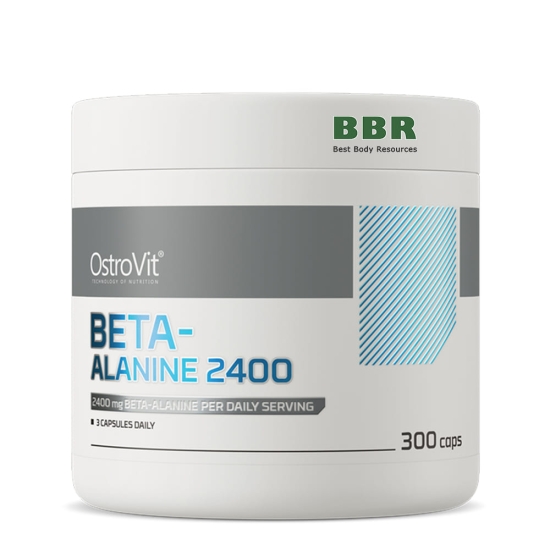 Beta-Alanine 800mg 300 Caps, OstroVit картинка Beta-Alanine 800mg 300 Caps, OstroVit фото