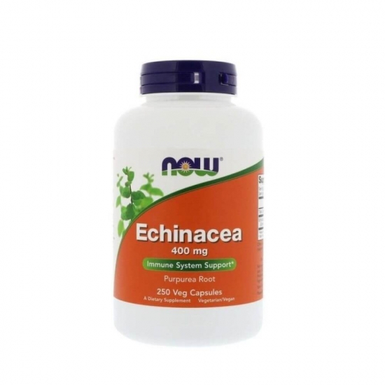 Echinacea 400mg 250 Veg Caps, NOW Foods картинка Echinacea 400mg 250 Veg Caps, NOW Foods фото