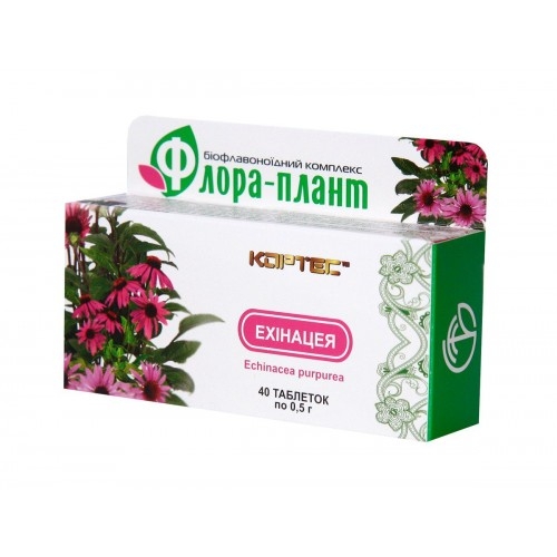 «Флора-Плант» Эхинацея (Кортес) фото